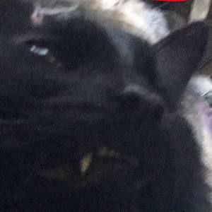 Meet your Posher, Cameron